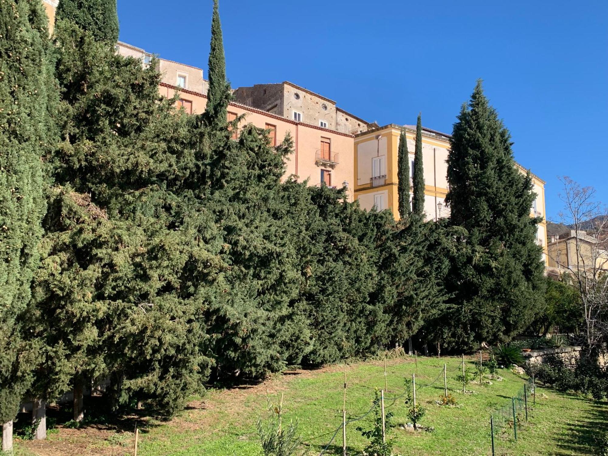 Palazzo Carratelli Apartment Amantea Exterior photo